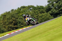 PJ-Motorsport-Photography-2020;anglesey;brands-hatch;cadwell-park;croft;donington-park;enduro-digital-images;event-digital-images;eventdigitalimages;mallory;no-limits;oulton-park;peter-wileman-photography;racing-digital-images;silverstone;snetterton;trackday-digital-images;trackday-photos;vmcc-banbury-run;welsh-2-day-enduro